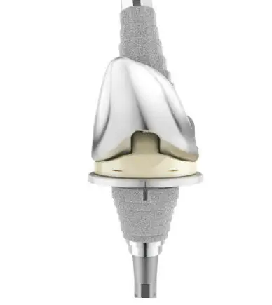全人工膝関節置換術用人工膝関節 - ATTUNE™ - Depuy Synthes - 再置換