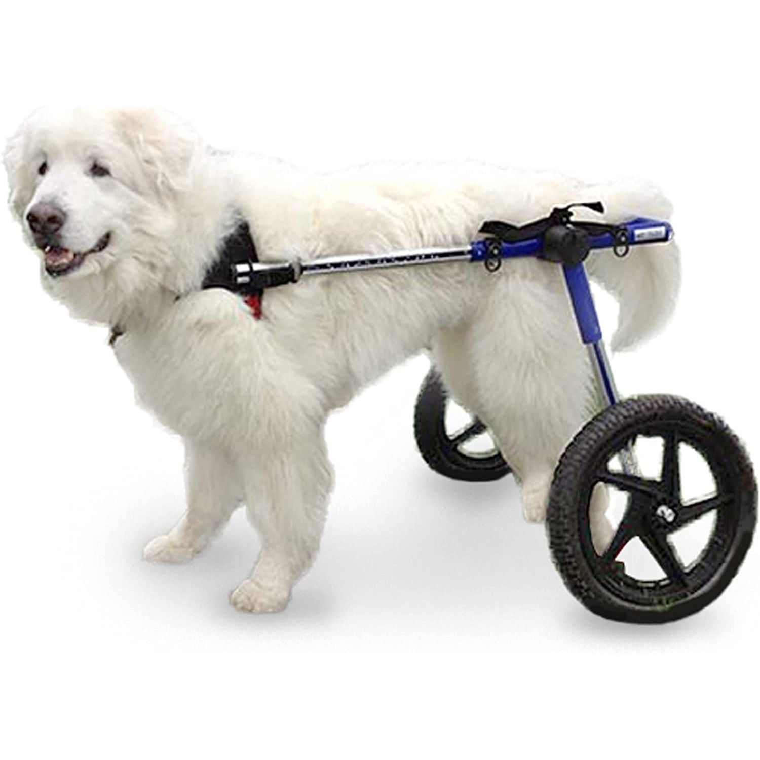 犬用動物用車椅子 - Walkin' Wheels® LARGE - Walkin' Pets