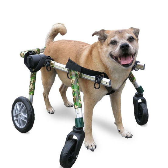 犬用動物用車椅子 - Walkin' Wheels Full Support/4-Wheel MEDIUM
