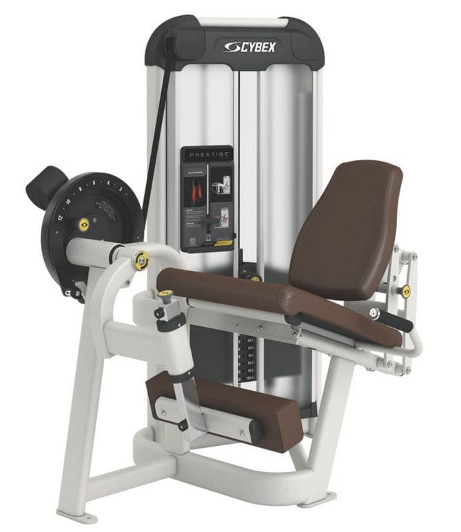 Cybex ラテラルレイズマシン【希少】 - メルカリ
