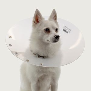 犬用動物用エリザベスカラー