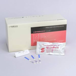 妊娠迅速検査キット