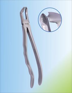 親知らず用抜歯用鉗子 1