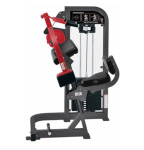 上腕三頭筋トレーニングマシン - HAMMER STRENGTH - Life Fitness