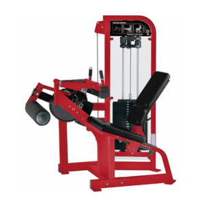 レッグカールマシン - HAMMER STRENGTH - Life Fitness