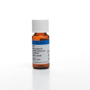 抗血清試薬 1