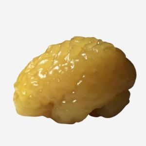 X線撮影用試験用ファントム