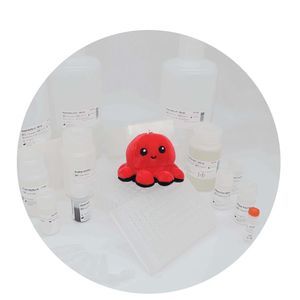 溶液試薬キット