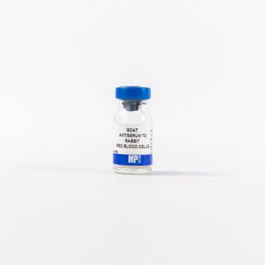 抗血清試薬