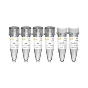 酵素試薬キット 1