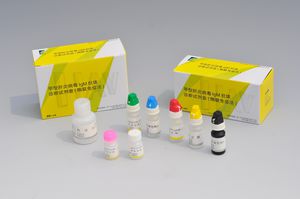 A型肝炎迅速検査キット