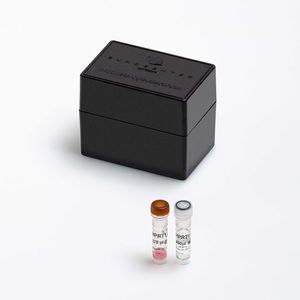 酵素試薬キット