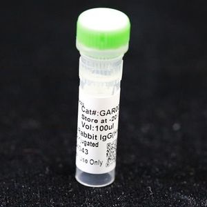 モノクローナル抗体試薬 1