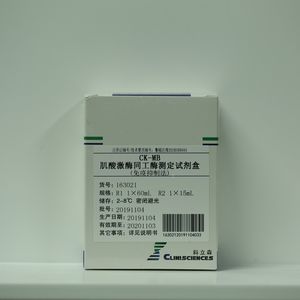 酵素試薬