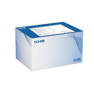 酵素試薬キット 1
