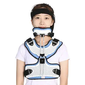 Amazon.co.jp: 胸腰椎・腰椎・仙椎 (最新整形外科学大系) : 戸山