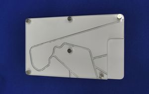 冠動脈の解剖模型 1