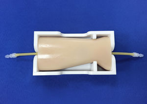 大腿動脈の血管模型 1