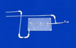 頸動脈の解剖模型