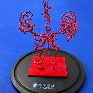 脳血管模型