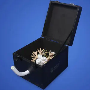 前立腺の解剖模型 - Shanghai Preclinic Medtech - 睾丸の