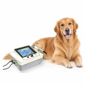 動物の手術用動物用レーザー
