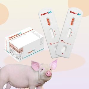 感染病用迅速検査キット