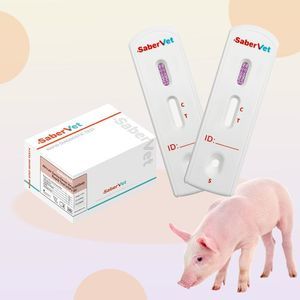 感染病用迅速検査キット