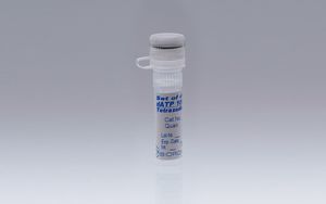 dNTP溶液試薬