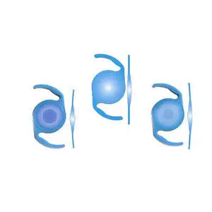 4588324-20110979.webp
