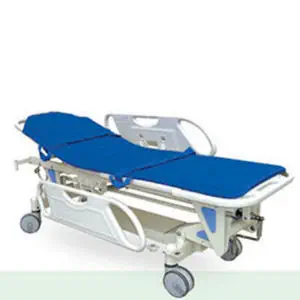 4588959-20469799.webp