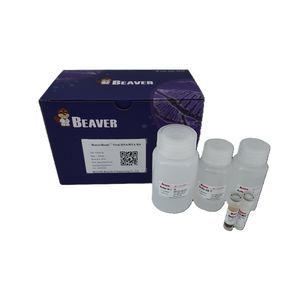 洗浄緩衝液試薬キット 1