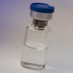 ポリクローナル抗体試薬