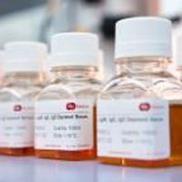 血清試薬 1