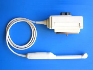 コンベックスアレイ超音波プローブ - AL3C130 - Broadsound Corporation