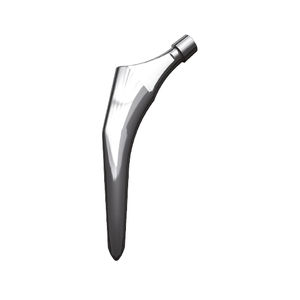 セメント固定大腿骨ステム