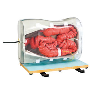 KOKEN 高研 大腸内視鏡モデル I-B型 生体模型 トレーニングモデル KOKEN 高研 大腸内視鏡モデル I-B型 生体模型 トレーニング