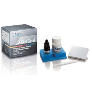 根管封鎖用歯科材料 1