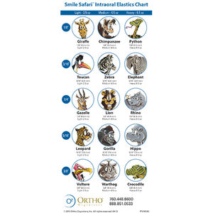 歯科矯正用ゴム Smile Safari All Star Orthodontics