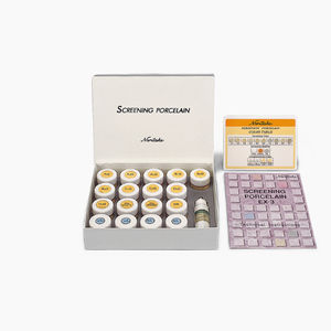 磁器製歯科材料