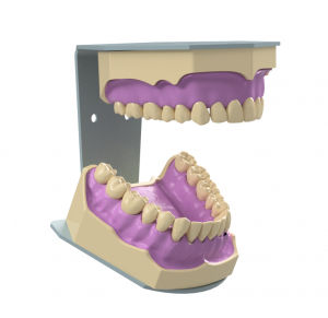 アナトミカル歯科用咬合器 - NA012 - Navadha Enterprises