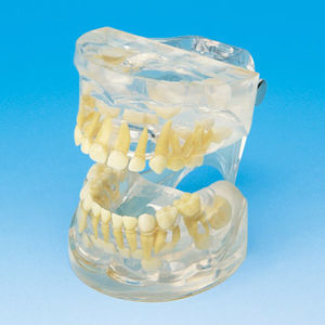 Nissin Dental Products Inc. :医療技術設備 - MedicalExpo