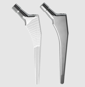 セメント固定/セメントレス固定大腿骨ステム - Avenir® - Zimmer