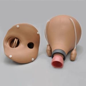 分娩用シミュレーター 1