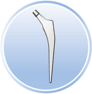 再置換大腿骨ステム