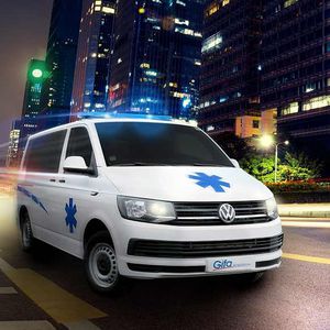 A1 タイプ救急車
