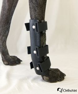 手根管用動物用スプリント