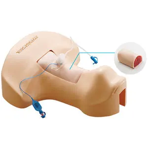 歯科衛生士　シンプルマネキン シンプルマネキンⅢ｜株式会社ニッシン｜歯科模型・歯科材料の