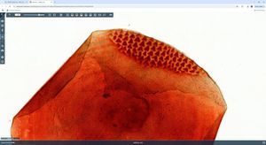 管理用ソフト 1