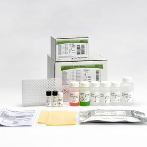 研究用検査キット 1